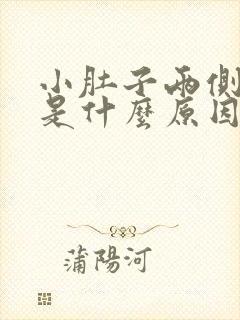 小肚子两侧胀疼是什么原因女