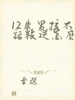 12岁男孩不听话叛逆怎么办封面