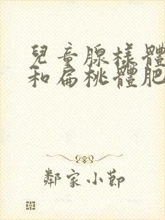 儿童腺样体肥大和扁桃体肥大手术