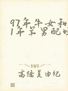 97年牛女和91年羊男配吗