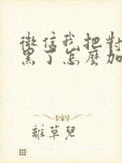 微信我把对方拉黑了怎么加回来