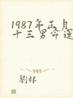 1987年正月十三男命运