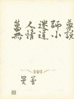 万人迷师尊他修无情道小说封面