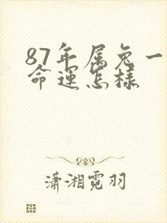 87年属兔一生命运怎样封面