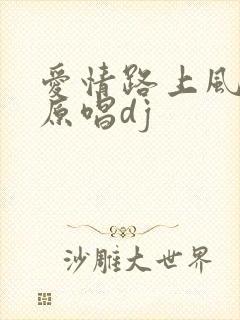 爱情路上风雨多原唱dj