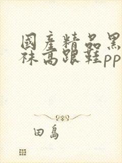 国产精品黑色丝袜高跟鞋pp