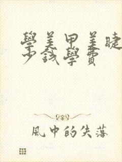 学美甲美睫要多少钱学费