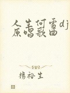 人生何处dj版原唱歌曲