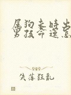 属狗未时出生的男孩命运怎么样呢