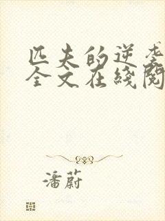 匹夫的逆袭小说全文在线阅读