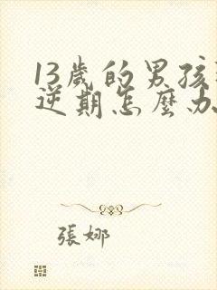 13岁的男孩叛逆期怎么办