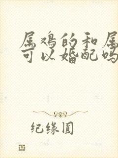 属鸡的和属猴的可以婚配吗