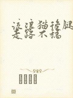 流浪猫后腿无力走路不稳