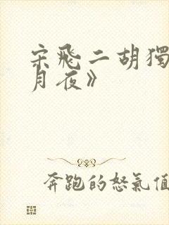 宋飞二胡独奏《月夜》