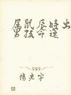 属鼠辰时出生的男孩命运