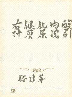 右腿肌肉酸疼是什么原因引起的