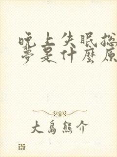 晚上失眠总是做梦是什么原因