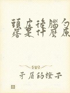 头皮后脑勺长疙瘩是什么原因