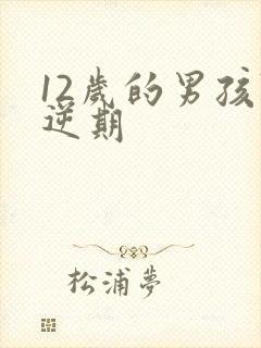 12岁的男孩叛逆期