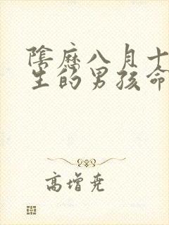 阴历八月十五出生的男孩命运如何