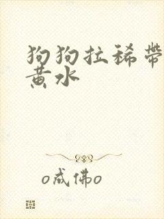 狗狗拉稀带血吐黄水封面