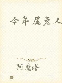 今年属兔人财运