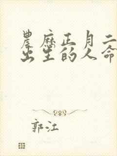 农历正月二十六出生的人命运