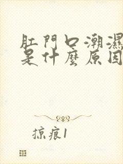 肛门口潮湿瘙痒是什么原因