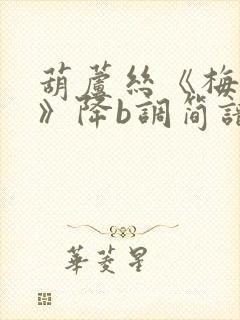 葫芦丝《梅花泪》降b调简谱