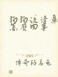 狗狗流清鼻涕是怎么回事