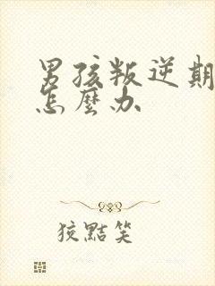 男孩叛逆期厌学怎么办