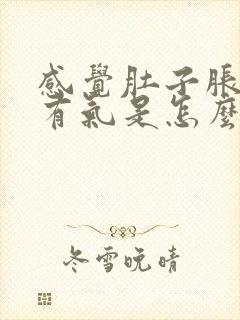 感觉肚子胀胀的有气是怎么回事