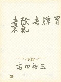 去除去脾胃湿气寒气