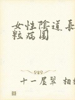 女性阴道长小肉粒病图