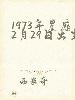 1973年农历2月29日出生是什么命