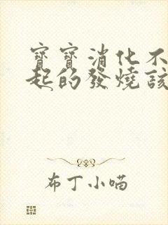 宝宝消化不好引起的发烧该吃什么药