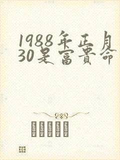1988年正月30是富贵命吗