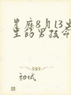 农历8月13出生的男孩命运封面