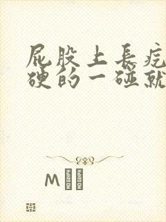 屁股上长疙瘩硬硬的一碰就疼