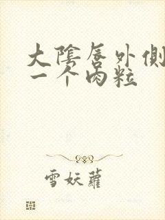 大阴唇外侧长了一个肉粒封面