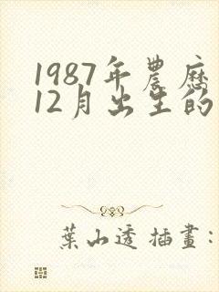 1987年农历12月出生的命运封面