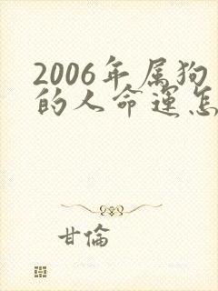 2006年属狗的人命运怎样