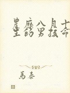 农历八月十一出生的男孩命运如何