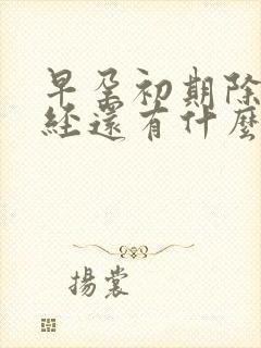 早孕初期除了停经还有什么症状