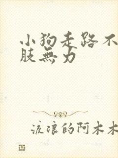 小狗走路不稳四肢无力