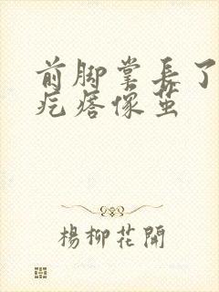 前脚掌长了个硬疙瘩像茧