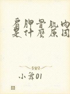 肩胛骨肌肉酸痛是什么原因引起的