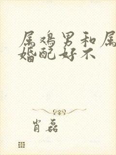 属鸡男和属兔女婚配好不