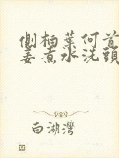 侧柏叶何首乌生姜煮水洗头发的功效封面