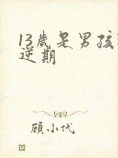 13岁是男孩叛逆期